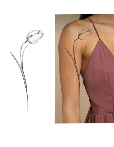 Tulipe