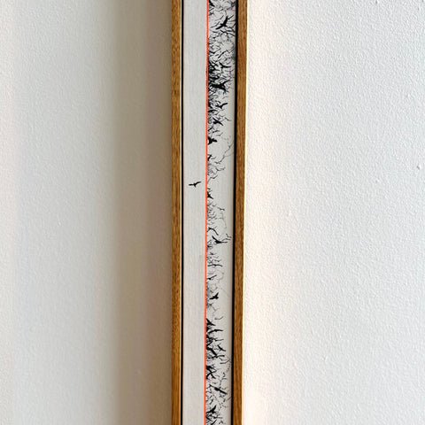 série BEAUTÉ MEURTRIÈRE