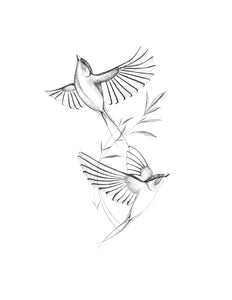 Flash#94 / Les oiseaux dansent