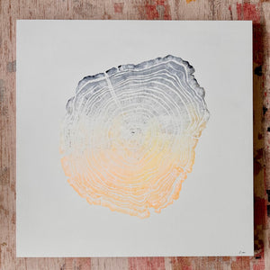 shopify auction