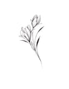 Les Fleurs dansent