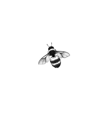 Bourdon