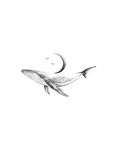 Voyager la nuit