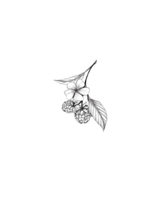 Les framboises
