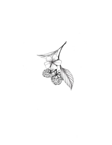 Les framboises