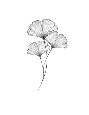 Gingko no1