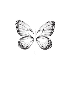 Papillon