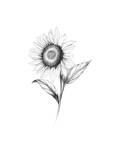 Tournesol