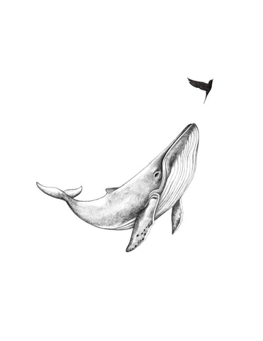 La traversée no3