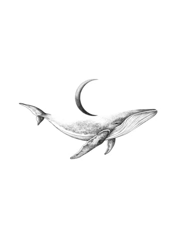 La Traversée no1