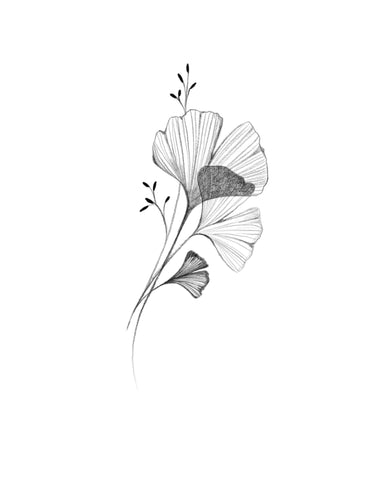 Gingko no1