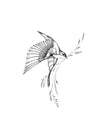 Le messager no2