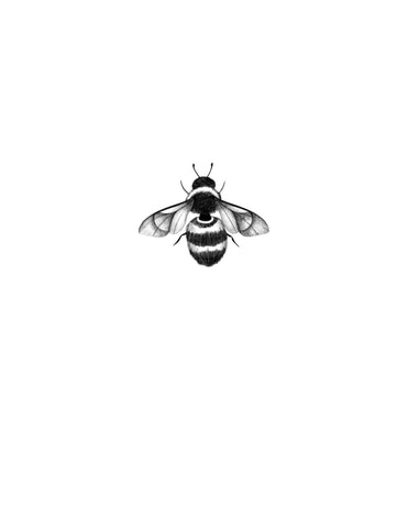 Petit bourdon