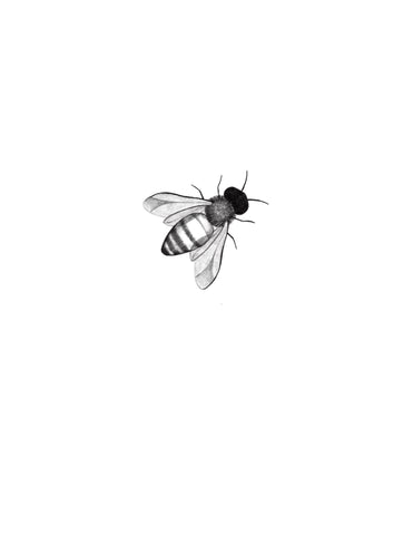 Abeille