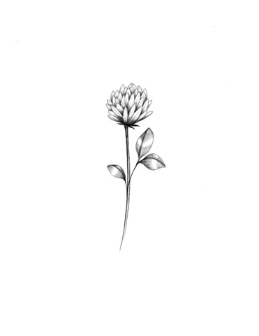 Fleur de trèfle