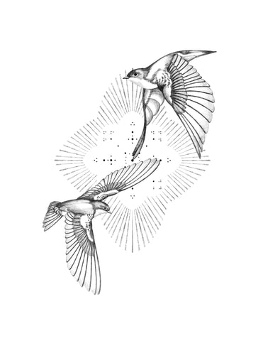 Connection no2