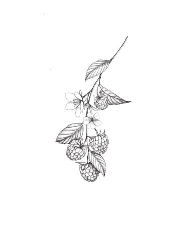 Le temps des Framboises