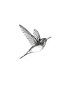 Le Colibri