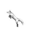 Le Renard