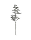 L'arbre