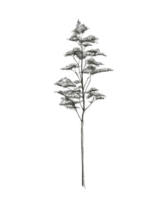 L'arbre