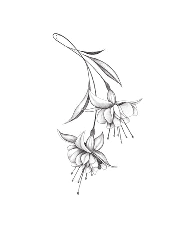 Les Fleurs s'ouvrent