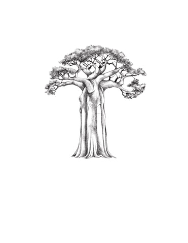 Le Grand Baobab