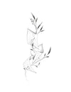 Les mots fleurissent