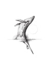 Le Grand Saut