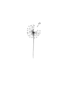 FLASHDAY .07